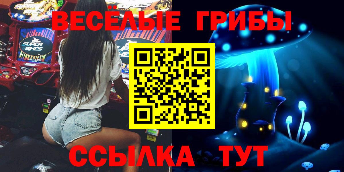 Псилоцибиновые грибы мицелий Санкт-Петербург