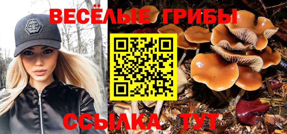 Галлюциногенные грибы Magic Shrooms  Вход с VPN  Санкт-Петербург 